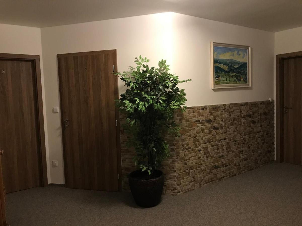 Na Planyrce Hotell Paseky nad Jizerou Eksteriør bilde