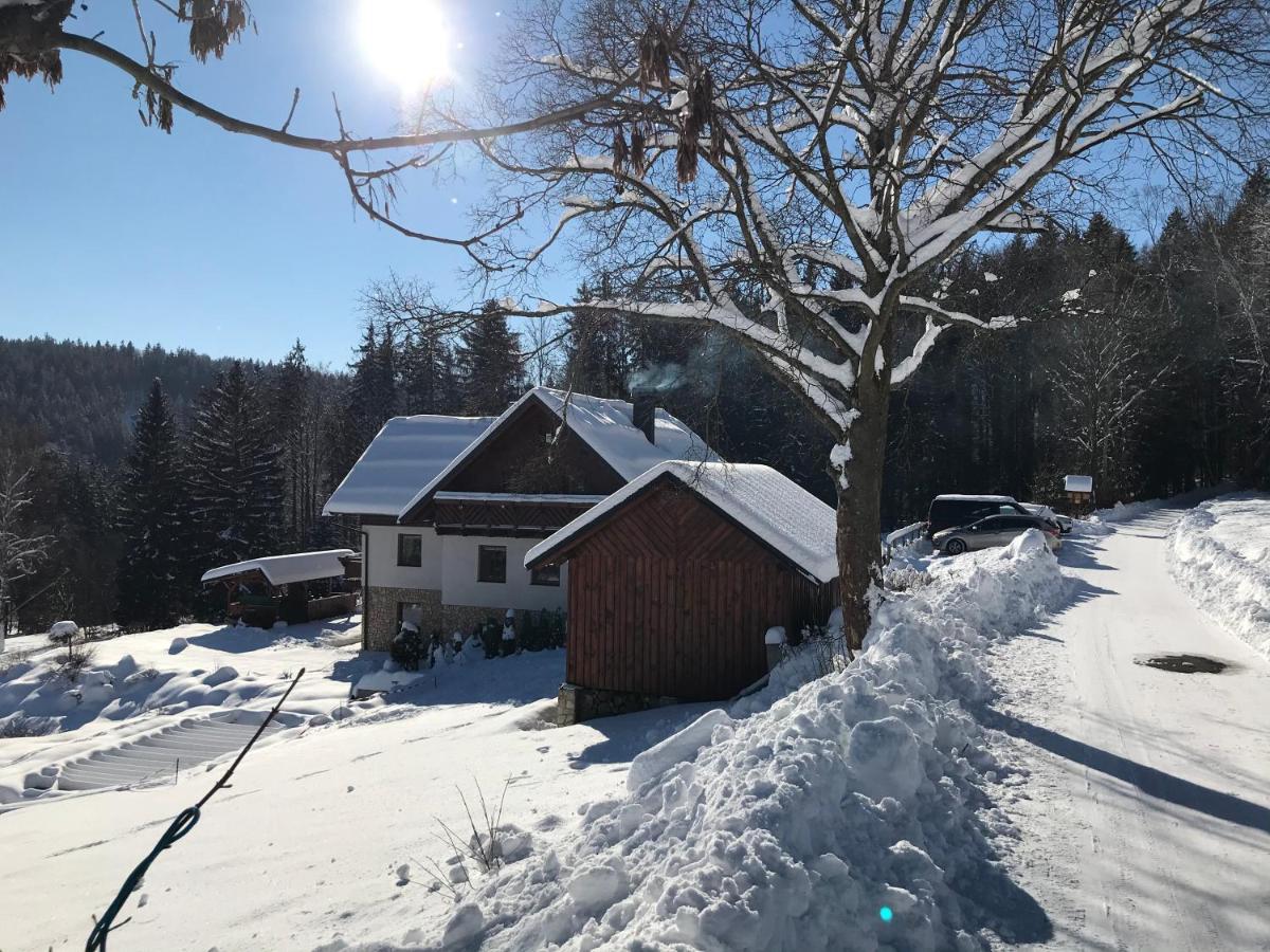 Na Planyrce Hotell Paseky nad Jizerou Eksteriør bilde