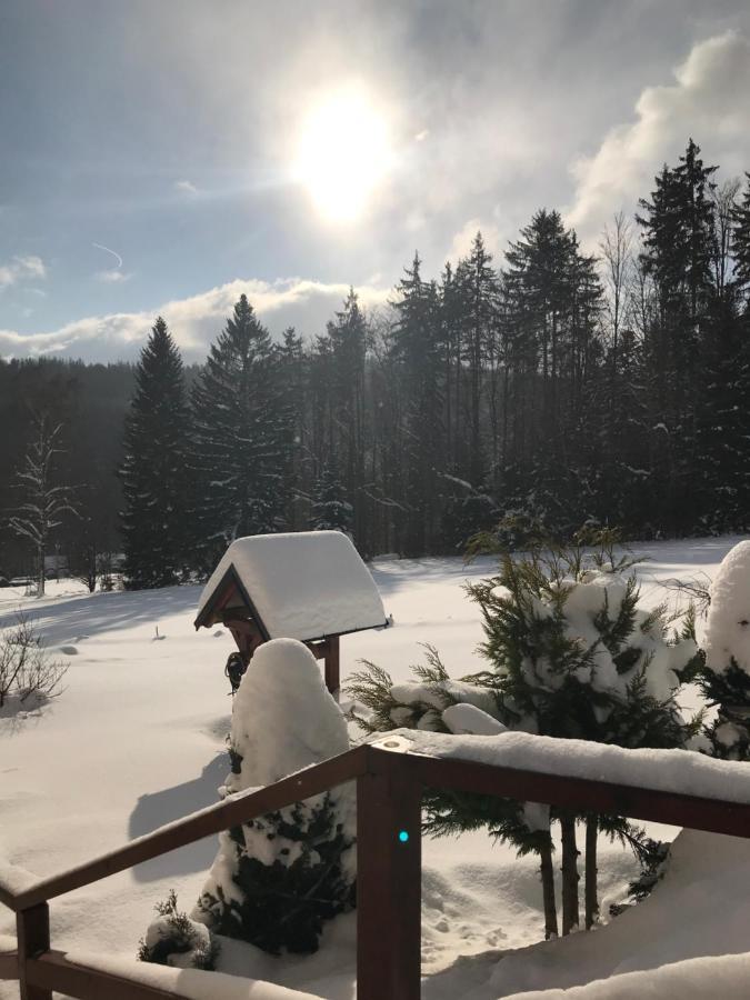 Na Planyrce Hotell Paseky nad Jizerou Eksteriør bilde